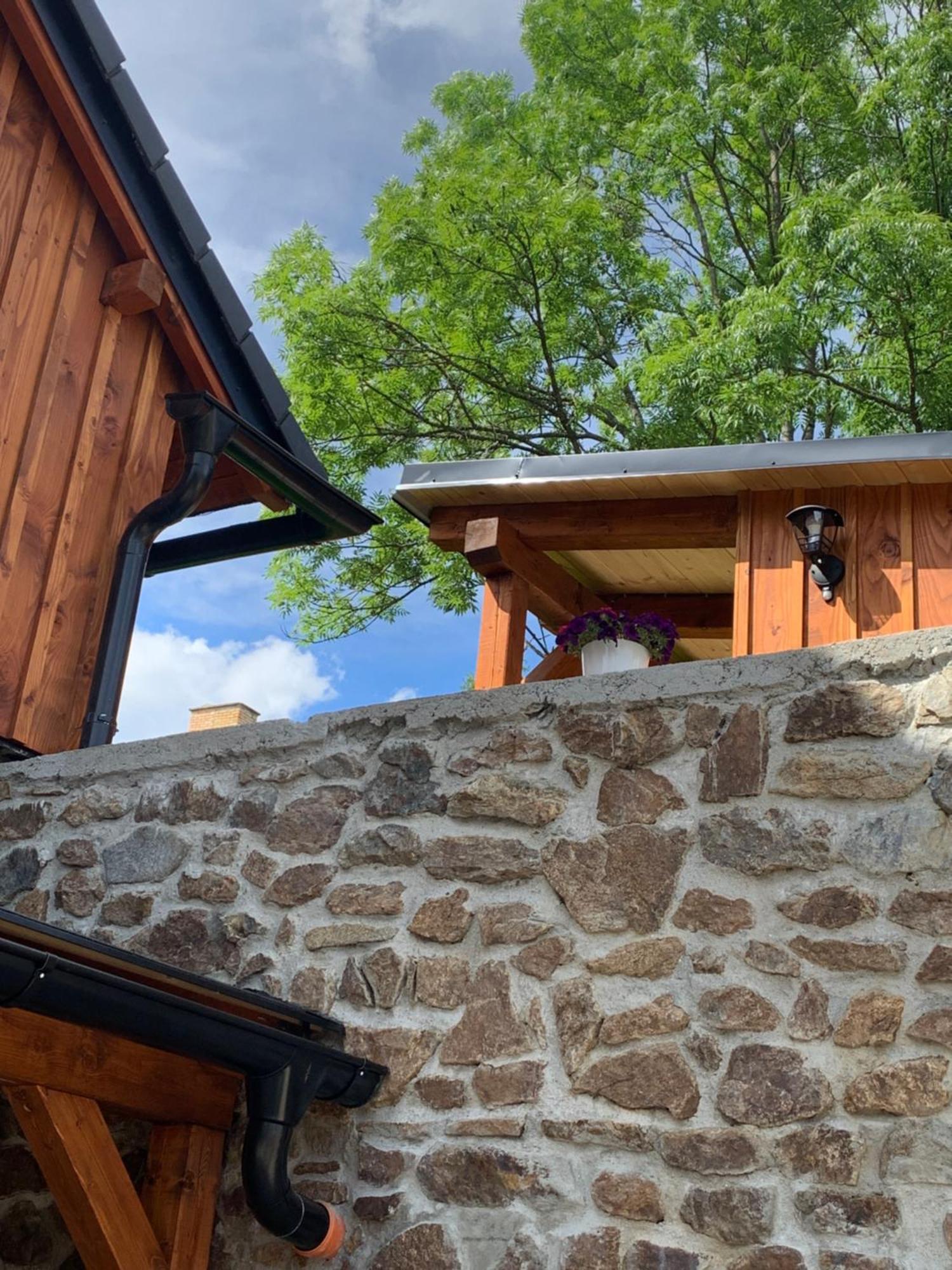 Penzion pod Pecí Lenora Exterior foto